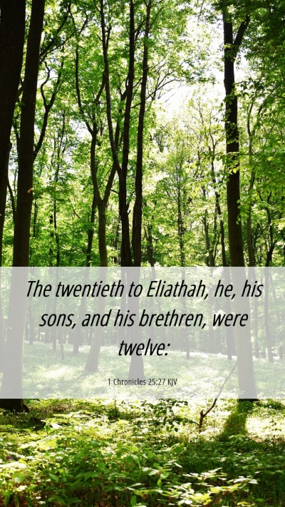 Picture 06 - 1 Chronicles 25:27 KJV Mobile Phone Wallpaper - The twentieth to Eliathah, he, his sons, and his - Mobile Bible Verse Wallpaper