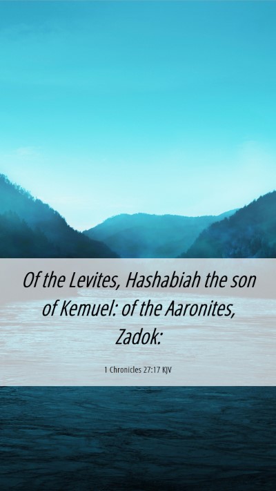 Picture 06 - 1 Chronicles 27:17 KJV Mobile Phone Wallpaper - Of the Levites, Hashabiah the son of Kemuel: of - Mobile Bible Verse Wallpaper