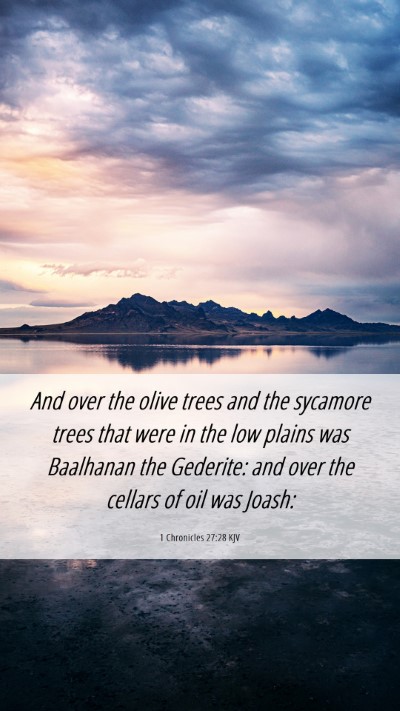 Picture 06 - 1 Chronicles 27:28 KJV Mobile Phone Wallpaper - And over the olive trees and the sycamore trees - Mobile Bible Verse Wallpaper
