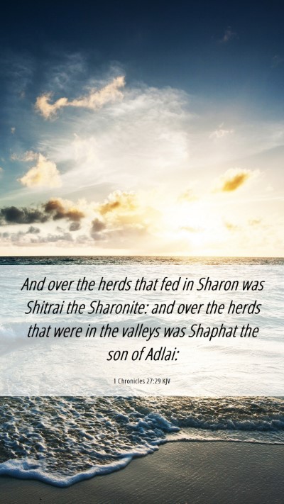 Picture 06 - 1 Chronicles 27:29 KJV Mobile Phone Wallpaper - And over the herds that fed in Sharon was Shitrai - Mobile Bible Verse Wallpaper