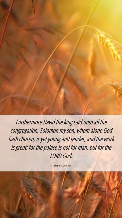 Picture 06 - 1 Chronicles 29:1 KJV Mobile Phone Wallpaper - Furthermore David the king said unto all the - Mobile Bible Verse Wallpaper