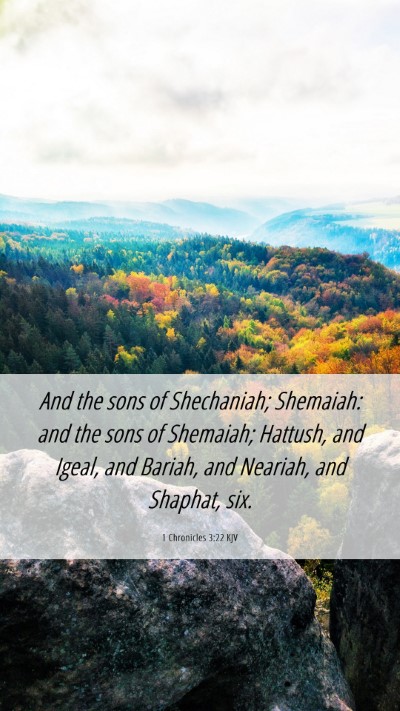 Picture 06 - 1 Chronicles 3:22 KJV Mobile Phone Wallpaper - And the sons of Shechaniah; Shemaiah: and the - Mobile Bible Verse Wallpaper