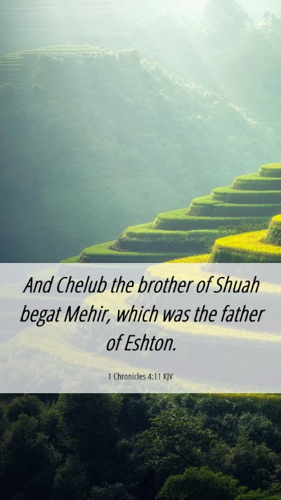 Picture 06 - 1 Chronicles 4:11 KJV Mobile Phone Wallpaper - And Chelub the brother of Shuah begat Mehir, - Mobile Bible Verse Wallpaper