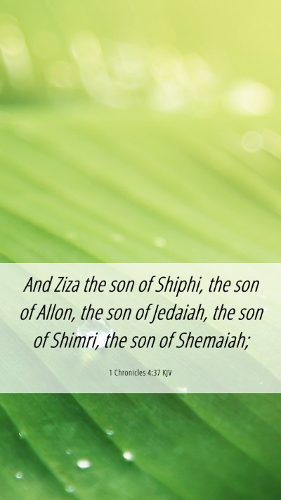 Picture 06 - 1 Chronicles 4:37 KJV Mobile Phone Wallpaper - And Ziza the son of Shiphi, the son of Allon, the - Mobile Bible Verse Wallpaper