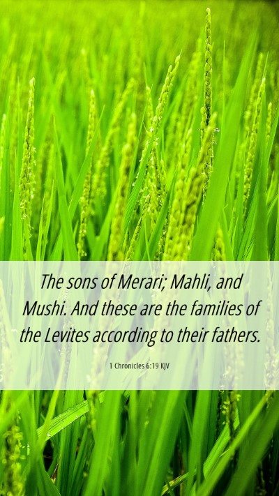 Picture 06 - 1 Chronicles 6:19 KJV Mobile Phone Wallpaper - The sons of Merari; Mahli, and Mushi. And these - Mobile Bible Verse Wallpaper