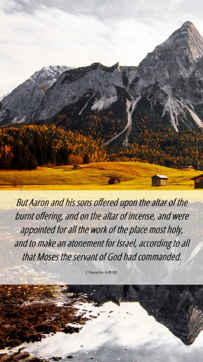 Picture 06 - 1 Chronicles 6:49 KJV Mobile Phone Wallpaper - But Aaron and his sons offered upon the altar of - Mobile Bible Verse Wallpaper