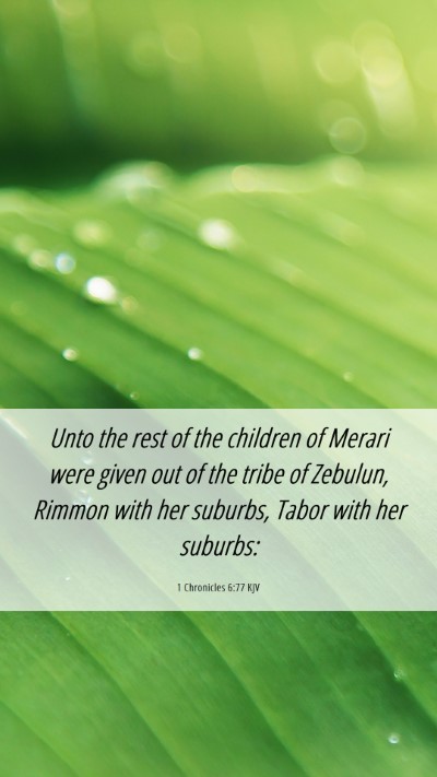 Picture 06 - 1 Chronicles 6:77 KJV Mobile Phone Wallpaper - Unto the rest of the children of Merari were - Mobile Bible Verse Wallpaper