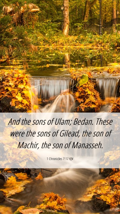 Picture 06 - 1 Chronicles 7:17 KJV Mobile Phone Wallpaper - And the sons of Ulam; Bedan. These were the sons - Mobile Bible Verse Wallpaper