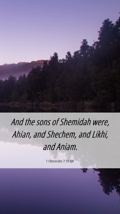 Picture 06 - 1 Chronicles 7:19 KJV Mobile Phone Wallpaper - And the sons of Shemidah were, Ahian, and - Mobile Bible Verse Wallpaper