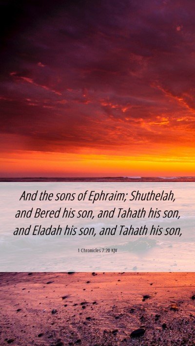 Picture 06 - 1 Chronicles 7:20 KJV Mobile Phone Wallpaper - And the sons of Ephraim; Shuthelah, and Bered his - Mobile Bible Verse Wallpaper