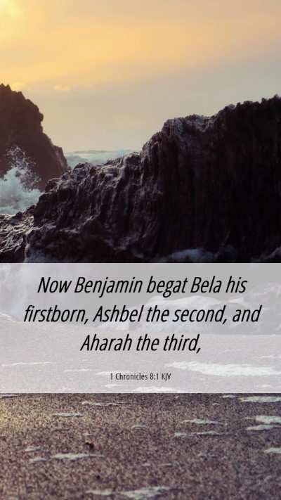 Picture 06 - 1 Chronicles 8:1 KJV Mobile Phone Wallpaper - Now Benjamin begat Bela his firstborn, Ashbel the - Mobile Bible Verse Wallpaper