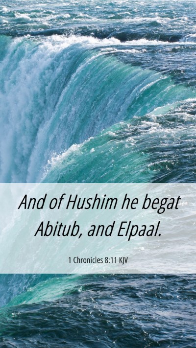 Picture 06 - 1 Chronicles 8:11 KJV Mobile Phone Wallpaper - And of Hushim he begat Abitub, and - Mobile Bible Verse Wallpaper