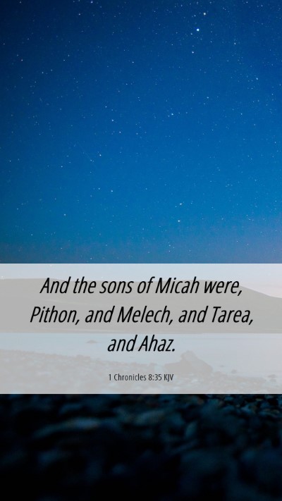 Picture 06 - 1 Chronicles 8:35 KJV Mobile Phone Wallpaper - And the sons of Micah were, Pithon, and Melech, - Mobile Bible Verse Wallpaper