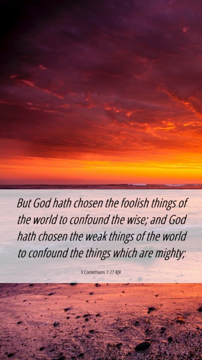 Picture 06 - 1 Corinthians 1:27 KJV Mobile Phone Wallpaper - But God hath chosen the foolish things of the - Mobile Bible Verse Wallpaper