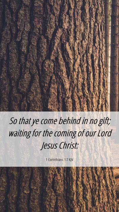 Picture 06 - 1 Corinthians 1:7 KJV Mobile Phone Wallpaper - So that ye come behind in no gift; waiting for - Mobile Bible Verse Wallpaper
