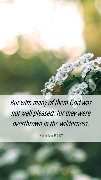 Picture 06 - 1 Corinthians 10:5 KJV Mobile Phone Wallpaper - But with many of them God was not well pleased: - Mobile Bible Verse Wallpaper