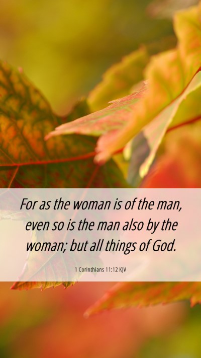 Picture 06 - 1 Corinthians 11:12 KJV Mobile Phone Wallpaper - For as the woman is of the man, even so is the - Mobile Bible Verse Wallpaper