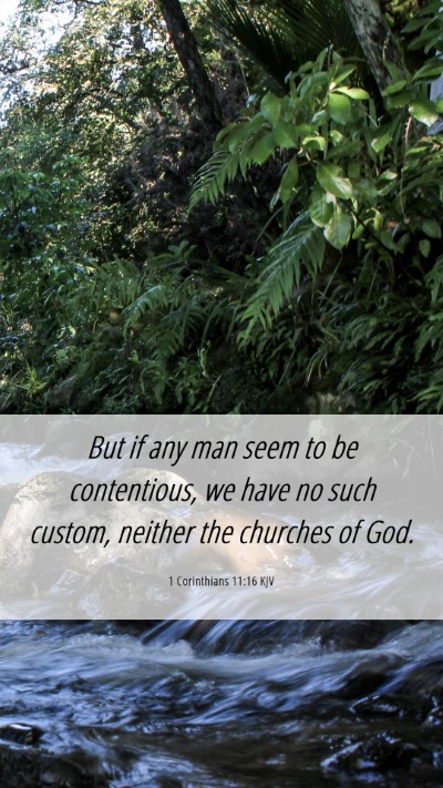 Picture 06 - 1 Corinthians 11:16 KJV Mobile Phone Wallpaper - But if any man seem to be contentious, we have no - Mobile Bible Verse Wallpaper