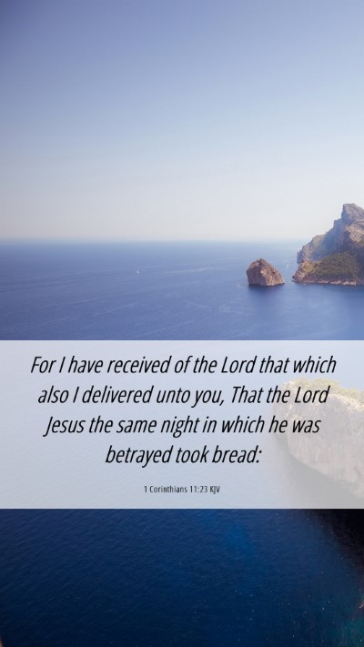 Picture 06 - 1 Corinthians 11:23 KJV Mobile Phone Wallpaper - For I have received of the Lord that which also I - Mobile Bible Verse Wallpaper