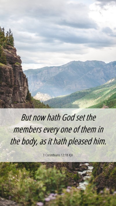 Picture 06 - 1 Corinthians 12:18 KJV Mobile Phone Wallpaper - But now hath God set the members every one of - Mobile Bible Verse Wallpaper