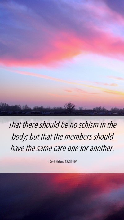 Picture 06 - 1 Corinthians 12:25 KJV Mobile Phone Wallpaper - That there should be no schism in the body; but - Mobile Bible Verse Wallpaper