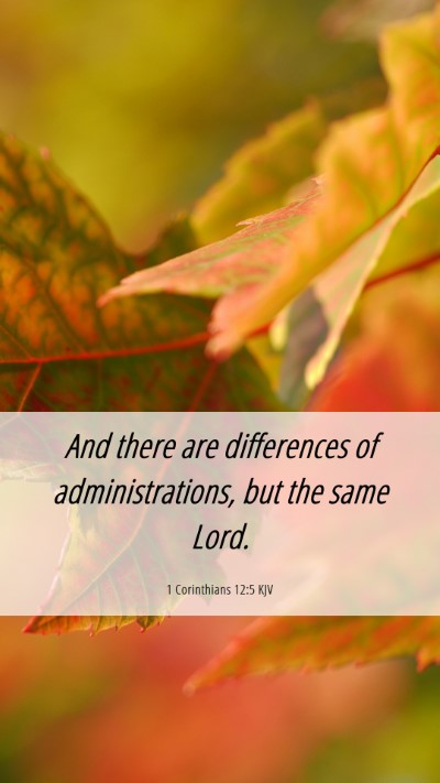 Picture 06 - 1 Corinthians 12:5 KJV Mobile Phone Wallpaper - And there are differences of administrations, but - Mobile Bible Verse Wallpaper