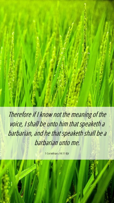Picture 06 - 1 Corinthians 14:11 KJV Mobile Phone Wallpaper - Therefore if I know not the meaning of the voice, - Mobile Bible Verse Wallpaper