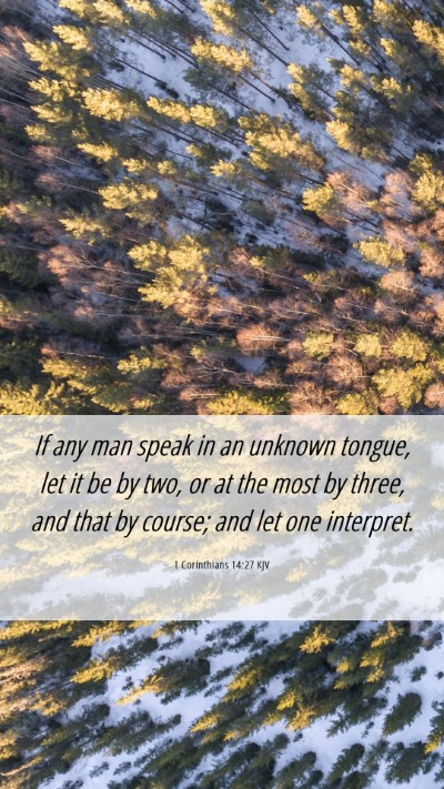 Picture 06 - 1 Corinthians 14:27 KJV Mobile Phone Wallpaper - If any man speak in an unknown tongue, let it be - Mobile Bible Verse Wallpaper
