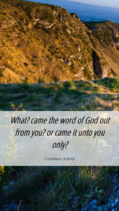 Picture 06 - 1 Corinthians 14:36 KJV Mobile Phone Wallpaper - What? came the word of God out from you? or came - Mobile Bible Verse Wallpaper