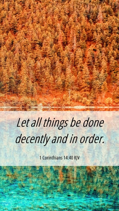 Picture 06 - 1 Corinthians 14:40 KJV Mobile Phone Wallpaper - Let all things be done decently and in - Mobile Bible Verse Wallpaper