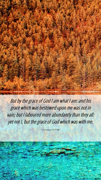 Picture 06 - 1 Corinthians 15:10 KJV Mobile Phone Wallpaper - But by the grace of God I am what I am: and his - Mobile Bible Verse Wallpaper