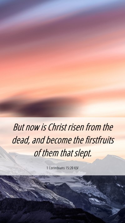 Picture 06 - 1 Corinthians 15:20 KJV Mobile Phone Wallpaper - But now is Christ risen from the dead, and become - Mobile Bible Verse Wallpaper