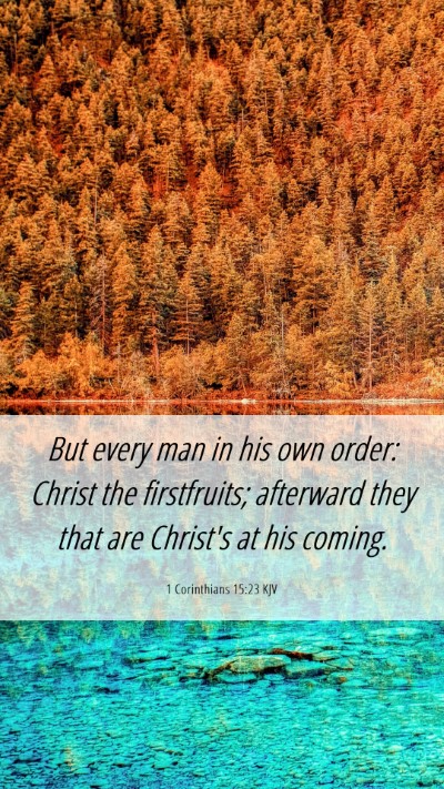 Picture 06 - 1 Corinthians 15:23 KJV Mobile Phone Wallpaper - But every man in his own order: Christ the - Mobile Bible Verse Wallpaper