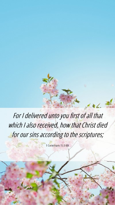 Picture 06 - 1 Corinthians 15:3 KJV Mobile Phone Wallpaper - For I delivered unto you first of all that which - Mobile Bible Verse Wallpaper