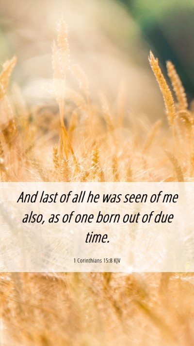 Picture 06 - 1 Corinthians 15:8 KJV Mobile Phone Wallpaper - And last of all he was seen of me also, as of one - Mobile Bible Verse Wallpaper