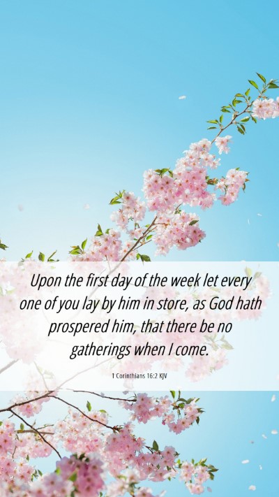 Picture 06 - 1 Corinthians 16:2 KJV Mobile Phone Wallpaper - Upon the first day of the week let every one of - Mobile Bible Verse Wallpaper