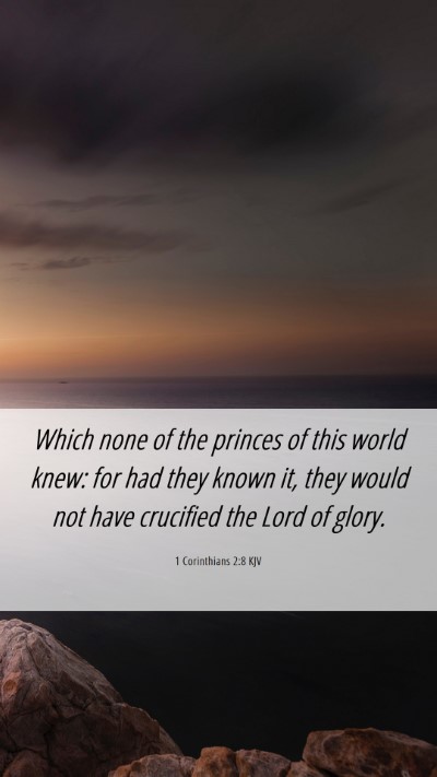 Picture 06 - 1 Corinthians 2:8 KJV Mobile Phone Wallpaper - Which none of the princes of this world knew: for - Mobile Bible Verse Wallpaper