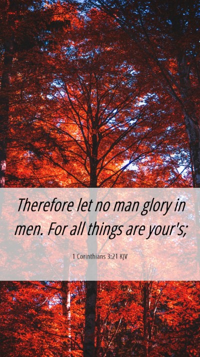 Picture 06 - 1 Corinthians 3:21 KJV Mobile Phone Wallpaper - Therefore let no man glory in men. For all things - Mobile Bible Verse Wallpaper