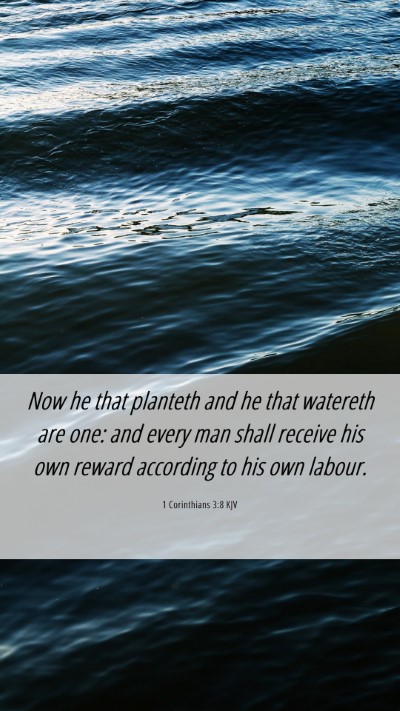 Picture 06 - 1 Corinthians 3:8 KJV Mobile Phone Wallpaper - Now he that planteth and he that watereth are - Mobile Bible Verse Wallpaper