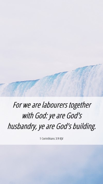 Picture 06 - 1 Corinthians 3:9 KJV Mobile Phone Wallpaper - For we are labourers together with God: ye are - Mobile Bible Verse Wallpaper