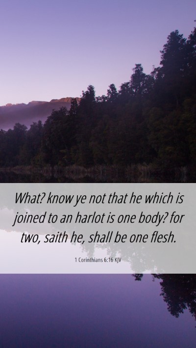 Picture 06 - 1 Corinthians 6:16 KJV Mobile Phone Wallpaper - What? know ye not that he which is joined to an - Mobile Bible Verse Wallpaper