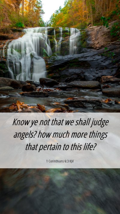 Picture 06 - 1 Corinthians 6:3 KJV Mobile Phone Wallpaper - Know ye not that we shall judge angels? how much - Mobile Bible Verse Wallpaper