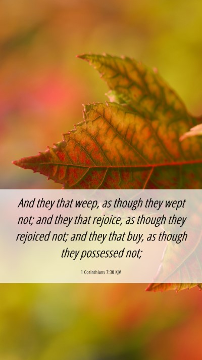 Picture 06 - 1 Corinthians 7:30 KJV Mobile Phone Wallpaper - And they that weep, as though they wept not; and - Mobile Bible Verse Wallpaper