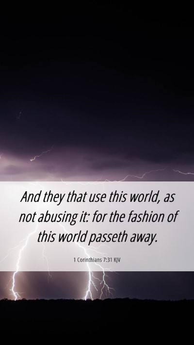 Picture 06 - 1 Corinthians 7:31 KJV Mobile Phone Wallpaper - And they that use this world, as not abusing it: - Mobile Bible Verse Wallpaper