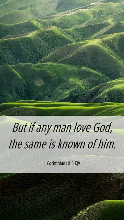 Picture 06 - 1 Corinthians 8:3 KJV Mobile Phone Wallpaper - But if any man love God, the same is known of - Mobile Bible Verse Wallpaper