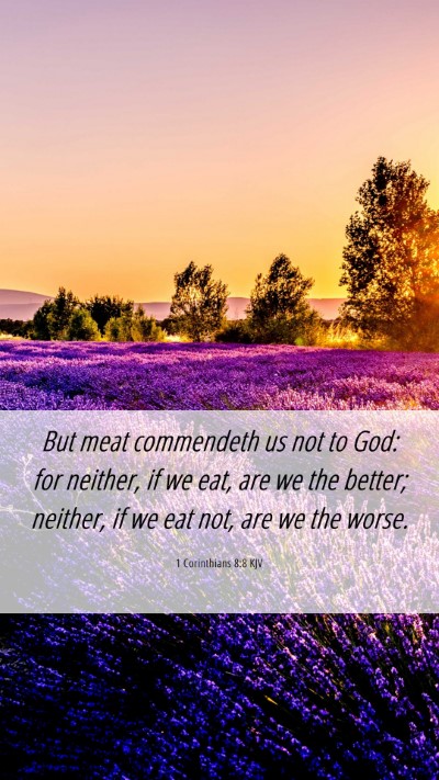 Picture 06 - 1 Corinthians 8:8 KJV Mobile Phone Wallpaper - But meat commendeth us not to God: for neither, - Mobile Bible Verse Wallpaper