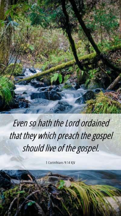 Picture 06 - 1 Corinthians 9:14 KJV Mobile Phone Wallpaper - Even so hath the Lord ordained that they which - Mobile Bible Verse Wallpaper