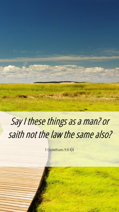 Picture 06 - 1 Corinthians 9:8 KJV Mobile Phone Wallpaper - Say I these things as a man? or saith not the law - Mobile Bible Verse Wallpaper