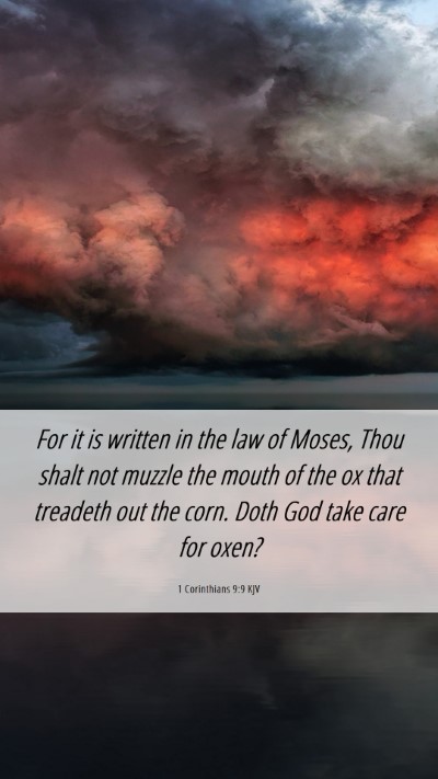 Picture 06 - 1 Corinthians 9:9 KJV Mobile Phone Wallpaper - For it is written in the law of Moses, Thou shalt - Mobile Bible Verse Wallpaper