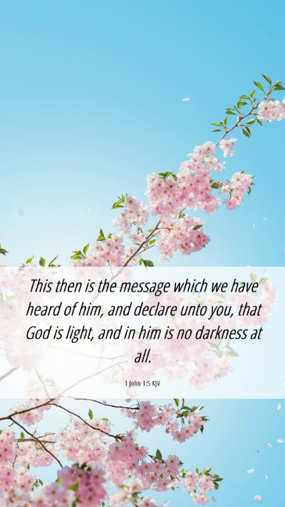 Picture 06 - 1 John 1:5 KJV Mobile Phone Wallpaper - This then is the message which we have heard of - Mobile Bible Verse Wallpaper